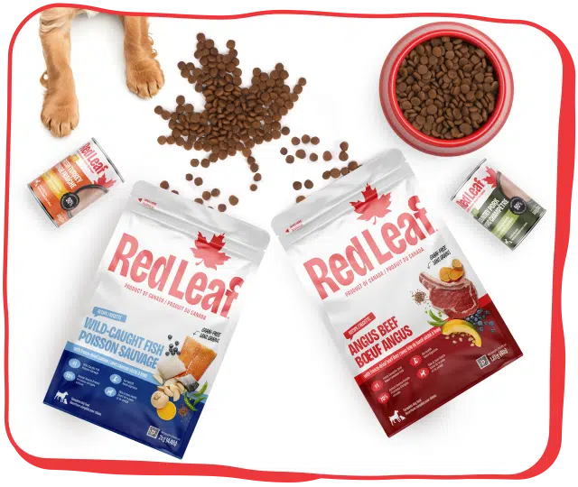 Red Leaf dog food and packaging