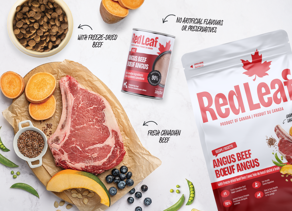 What Is Red Leaf Dog Food? A Guide to This Canadian-Made Dog Food
