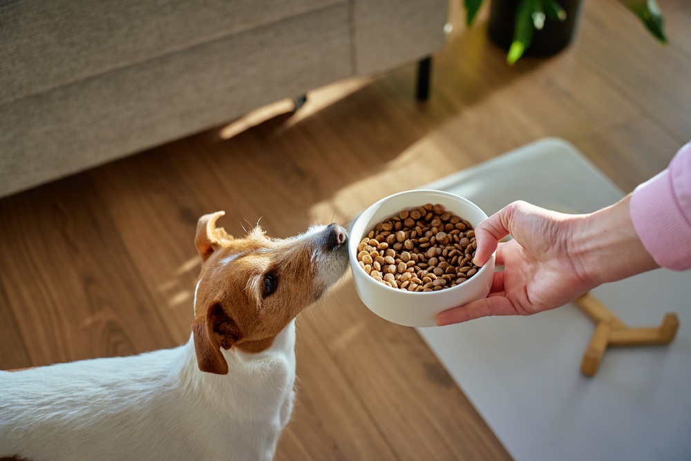 What Does Freeze‑Dried Infused Dog Food Mean? 