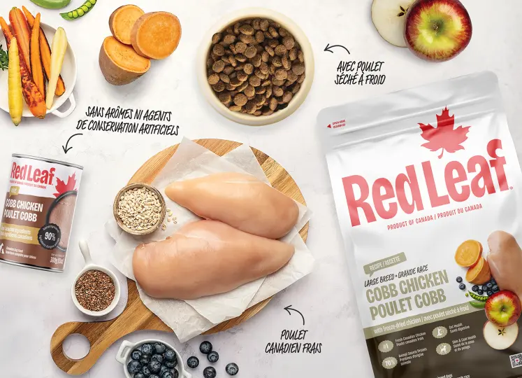 Composition des ingrédients au poulet Cobb
