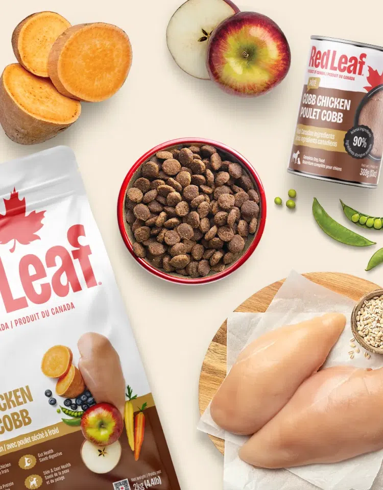 Red Leaf dog food packaging and ingredients