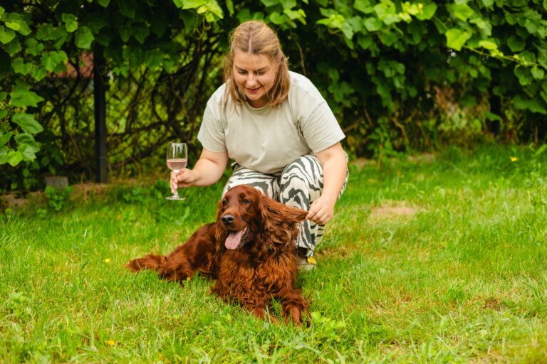 Les meilleurs vignobles et les meilleures brasseries en Ontario accueillant les chiens